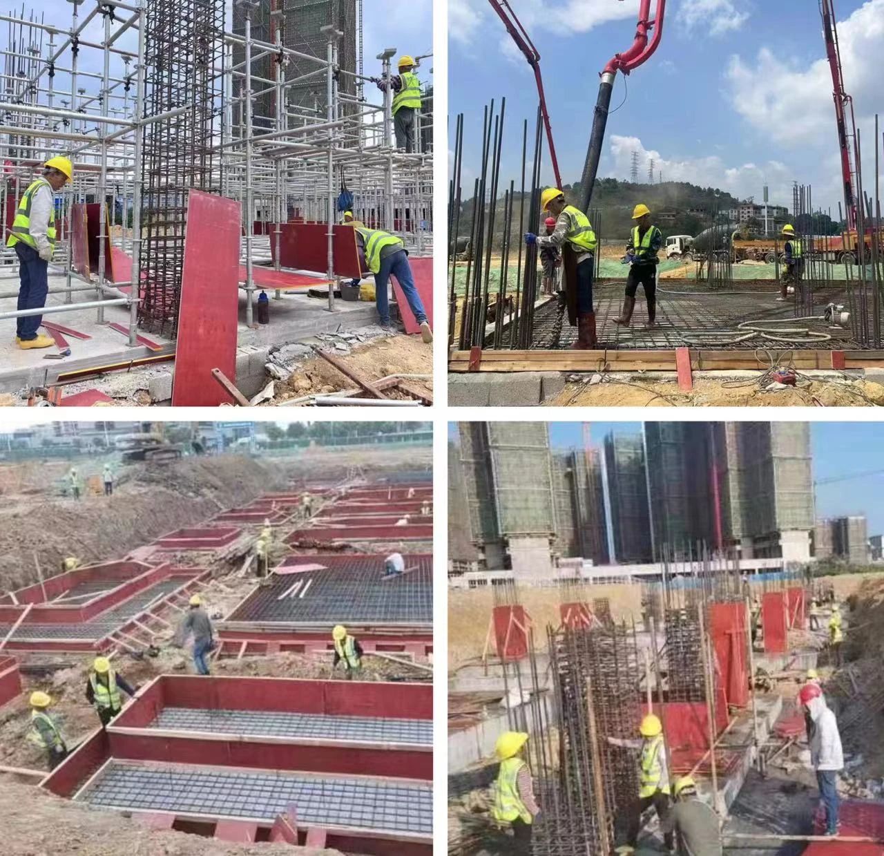 龍景5小8 龍景5小8