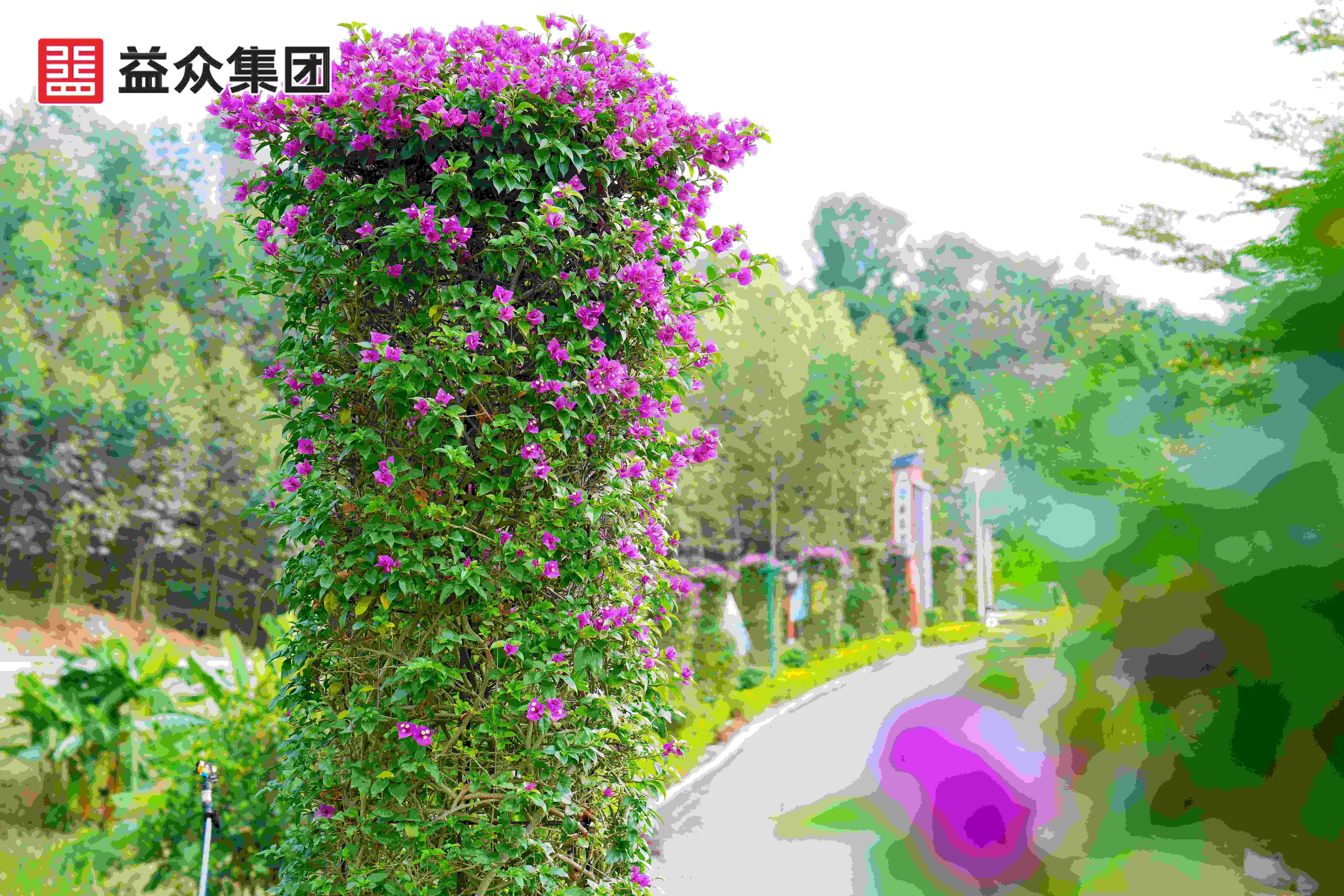 濕地公園部分景觀4_副本 濕地公園部分景觀4_副本